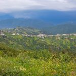 De Béjaïa à Tizi Ouzou : un road trip au cœur de la Kabylie