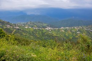 De Béjaïa à Tizi Ouzou : un road trip au cœur de la Kabylie
